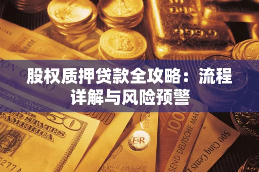 北京股权质押贷款全攻略：流程详解与风险预警