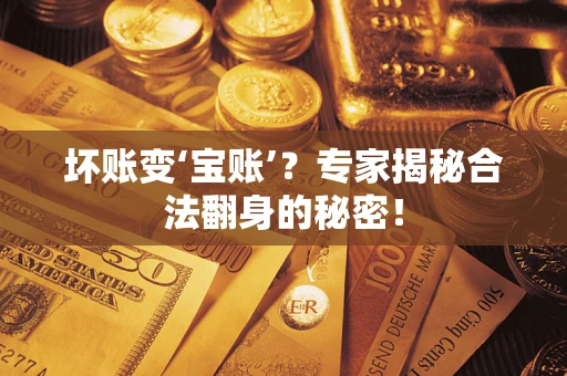 北京坏账变‘宝账’？专家揭秘合法翻身的秘密！