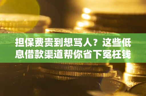 北京担保费贵到想骂人？这些低息借款渠道帮你省下冤枉钱
