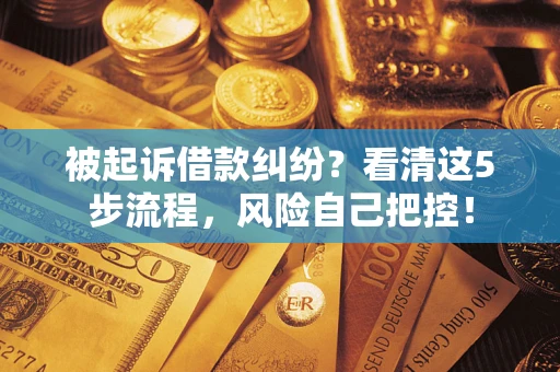 北京被起诉借款纠纷？看清这5步流程，风险自己把控！
