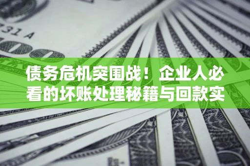 北京债务危机突围战！企业人必看的坏账处理秘籍与回款实战指南